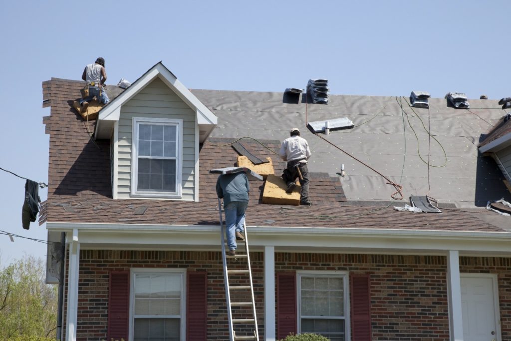 roof and materials