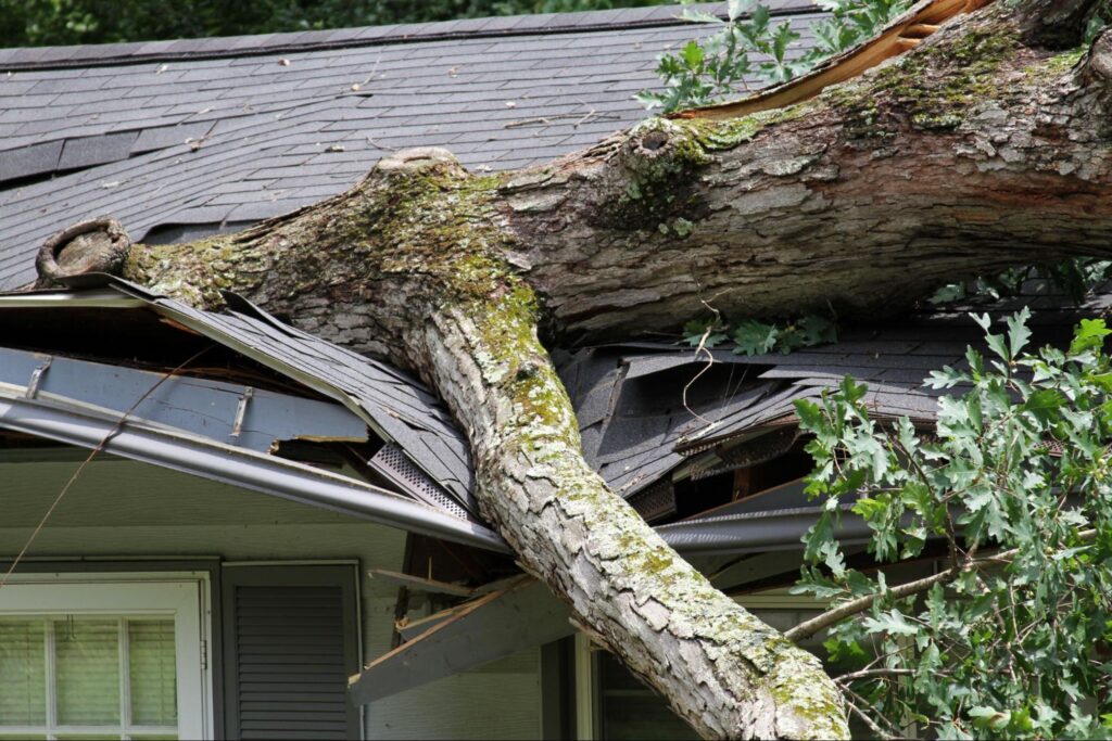 How Proper Roof Maintenance Can Prevent an Emergency