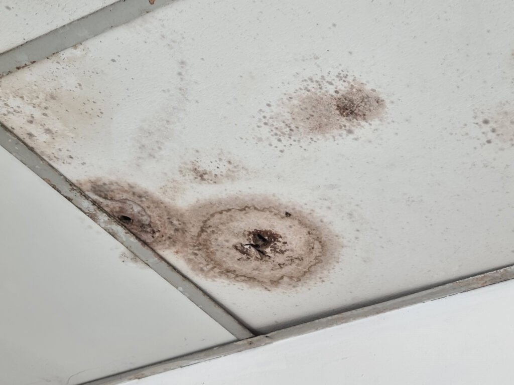 Pinnacle Roofing wants to protect you and your home, so keep reading to learn more about what damage a roof leak can cause!