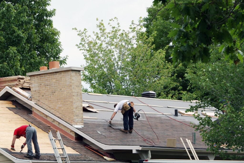 Understanding Mold Growth On Roofs And How To Prevent It